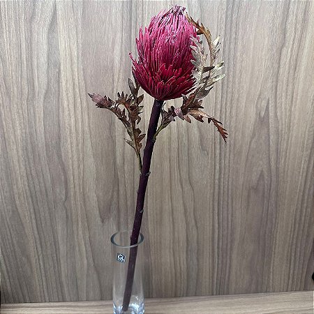 Haste Protea 55cm