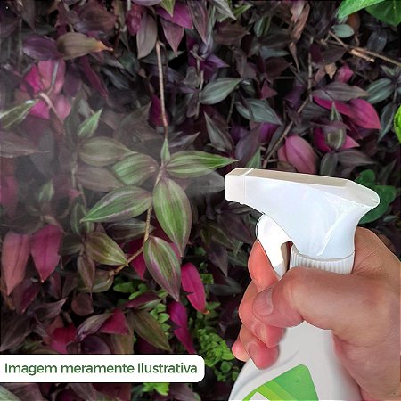 Fertilizante Forth Orquídeas Manutenção Pronto Uso 500ml