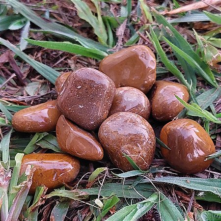 Jaspe Amarela Rolada