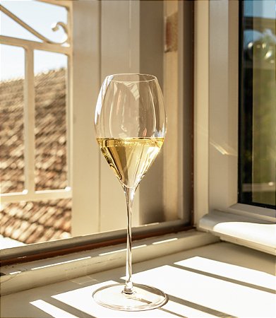 JOGO 6 TAÇAS CRISTAL VINHO/ CHAMPAGNE / ESPUMANTE 250 H X 84 DIAM MM - 425 ML - LINHA FINO