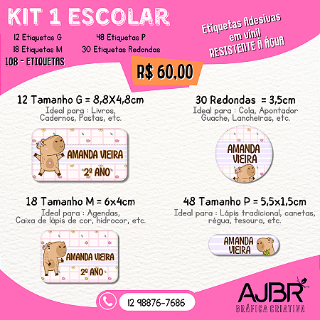KIT ESCOLAR 01 - 108 ADESIVOS VINIL