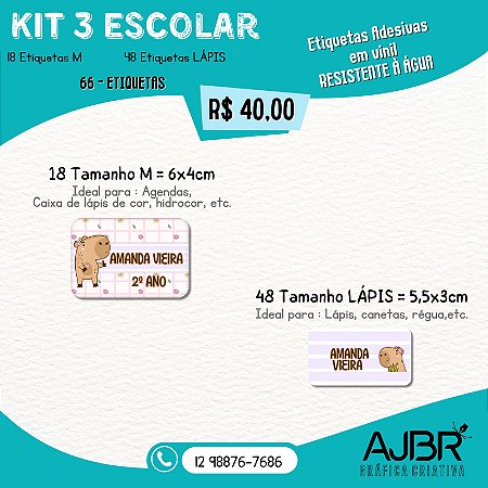 KIT ESCOLAR 03 - 66 ADESIVOS VINIL