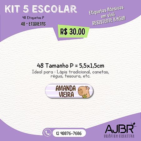 KIT ESCOLAR 05 - 48 ADESIVOS VINIL