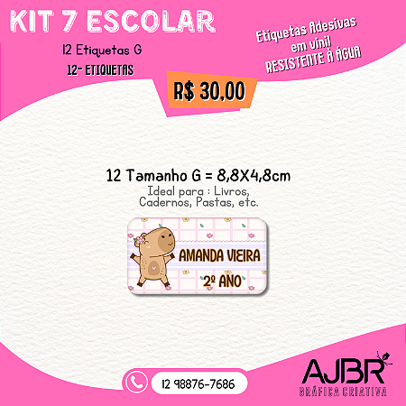 KIT ESCOLAR 07 - 12 ADESIVOS VINIL