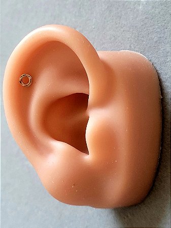 Brinco Circulo Vazado Pequeno