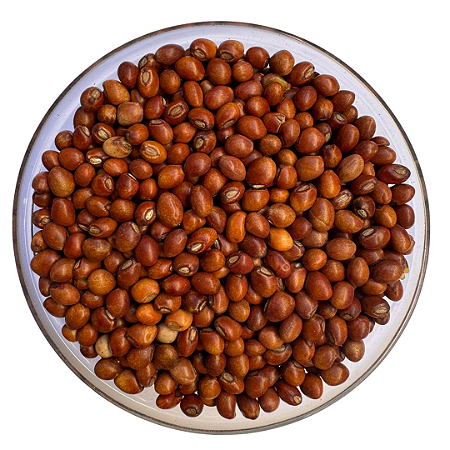 Sementes de Feijão Guandu Anão