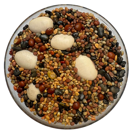 Sementes Mix Adubação Verde