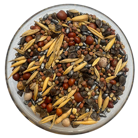 Sementes Mix Pastagem