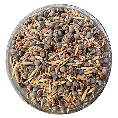 Sementes Mix para Geada e Frio