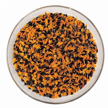 Sementes de Acácia Australiana (Acácia Mangium) 100Gr