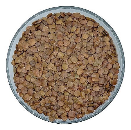 2.000 Sementes De Sansão Do Campo