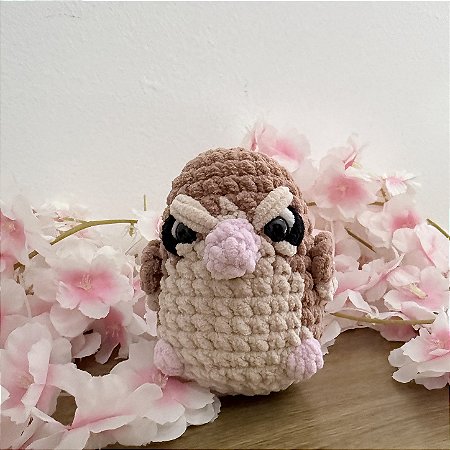 Pidgey