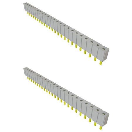 Receptáculo Fêmea 24 Posições PTH 2,54mm Samtec SLW-124-01-G-S
