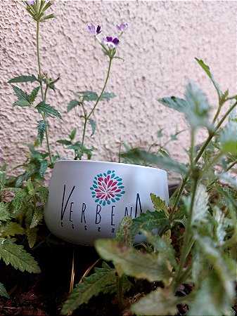 Vela Perfumada de Verbena - 115g