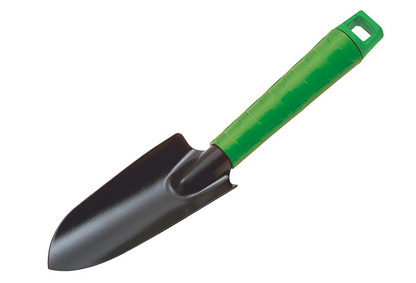 Pazinha Larga