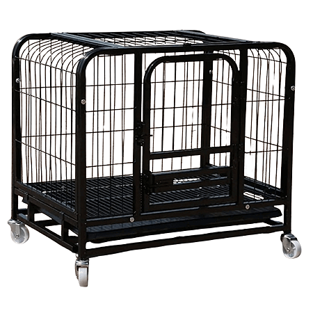 Caixa Transporte Cães Gaiola Cachorro Gato Pet Canil Pet Shop Seguro XG
