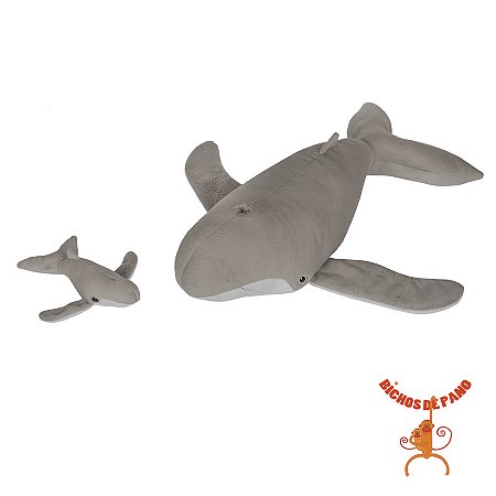 Baleia Jubarte Grávida com 1 Filhote