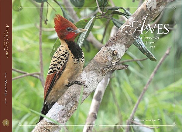 Aves do Cerrado – Volume 3
