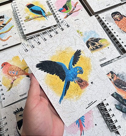 Caderneta - Arara Azul