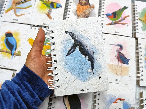 Caderneta - Baleia Jubarte