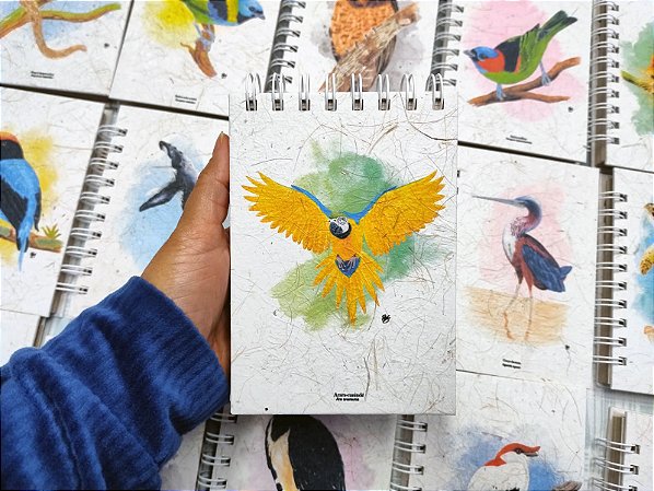 Caderneta - Arara-canindé M