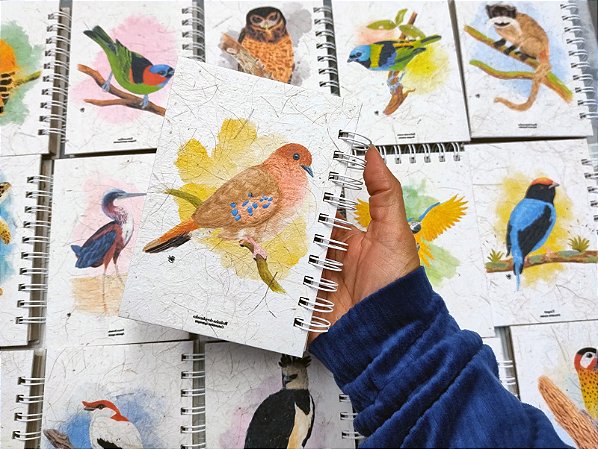 Caderneta - Rolinha-do-planalto