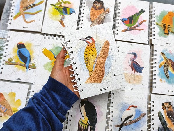 Caderneta - Pica-pau-de-peito-pontilhado M