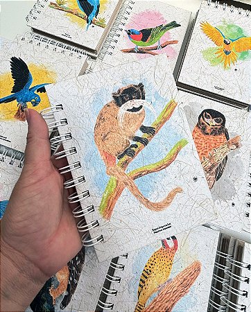 Caderneta - Sagui-imperador M