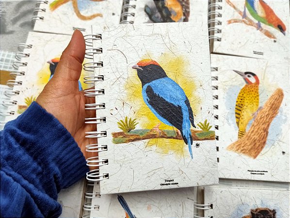 Caderneta - Tangará