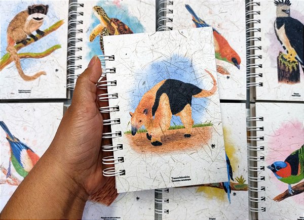 Caderneta - Tamanduá-mirim