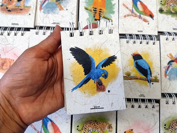 Caderneta Arara Azul - P