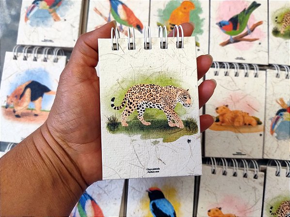 Caderneta Onça-pintada P