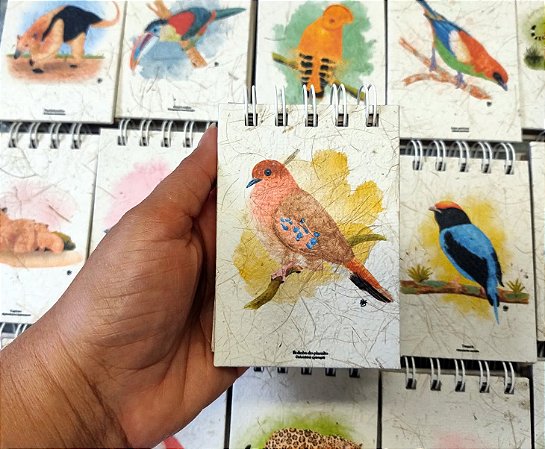 Caderneta Rolinha-do-planalto - P