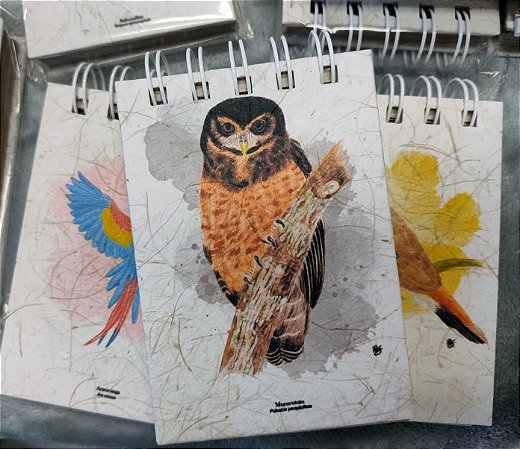 Caderneta Murucututu - P