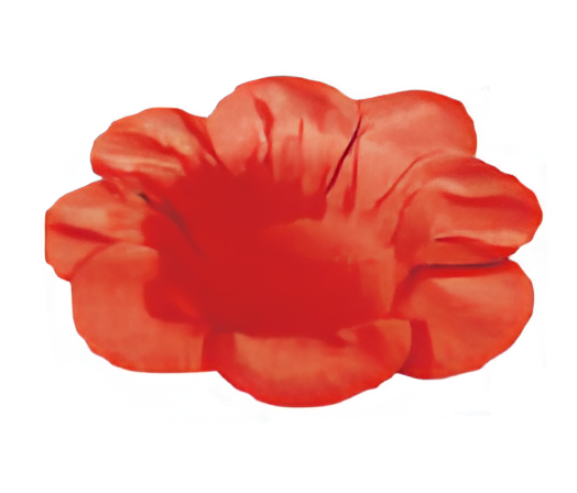 Forminha Sweet Cartão Papel com 50 unidades - Vermelho