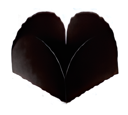 Forminhas para Doces 4 Petalas 7X7cm com 50 unidades - Preto