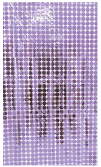 Cortina Metalizada Quadrado Pequeno 1x2m c/1 unid. - Lilás