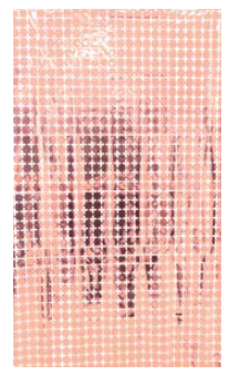 Cortina Metalizada Quadrado Pequeno 1x2m c/1 unid. - Ouro Rose