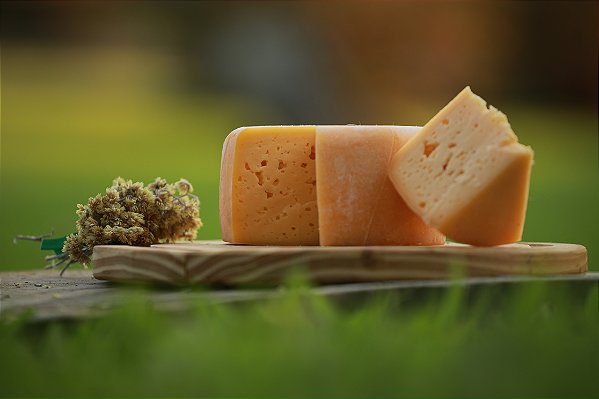 Queijo Colonial de Santa Catarina