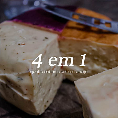 Queijo quatro sabores 4em1
