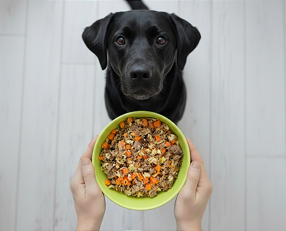 Macarronada - Adulto (1 porção)