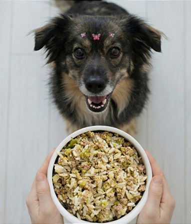 Carne Essencial - Cães Adulto (1 porção)