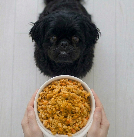 Lombo Essencial - Cães Adulto (1 porção)