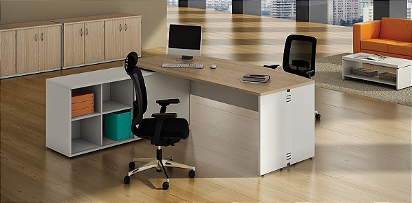 Escritório Diretivas 25 MM BP