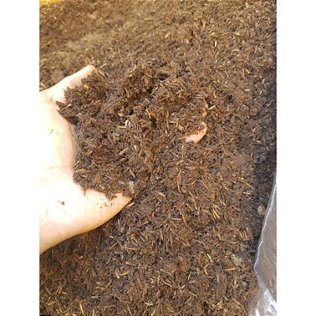 1kg de Bagana, Areia e Carvão