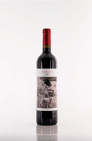 Vinho Tinto Espanhol San Valero Celebrities Syrah 2022