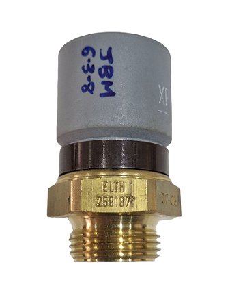 Interruptor Térmico Radiador GM Vectra 96 a 2005 MTE 797 100º/105ºC Novo de Época