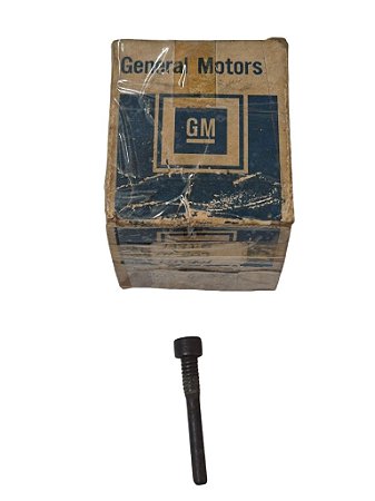 Parafuso Trava Do Pino Caixa Satélite Opala 69/ em diante Chevette 73/ Diferencial Braseixos Original GM 7334501