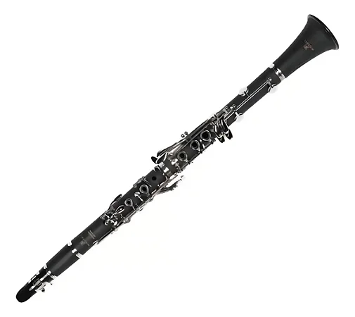 CLARINETE MICHAEL WCLM30N