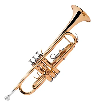 TROMPETE MICHAEL WTRM30N